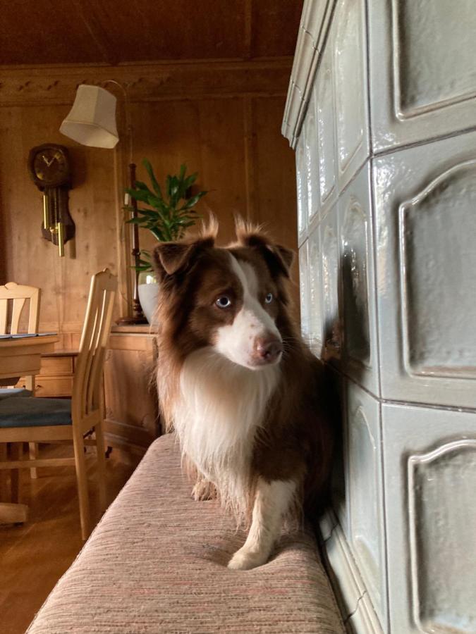 Ferienhaus Wieswald Ehrwald Kültér fotó